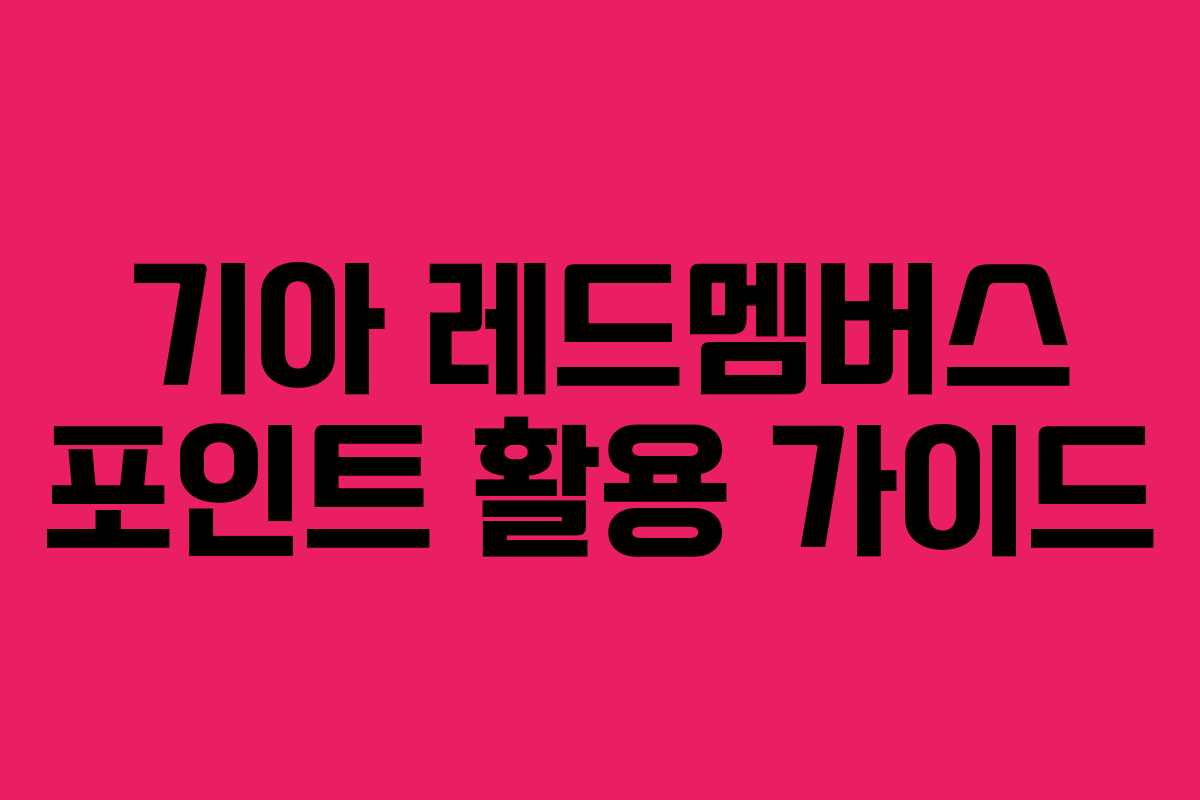 기아 레드멤버스 포인트 활용 가이드 기아 레드멤버스 포인트 활용 가이드