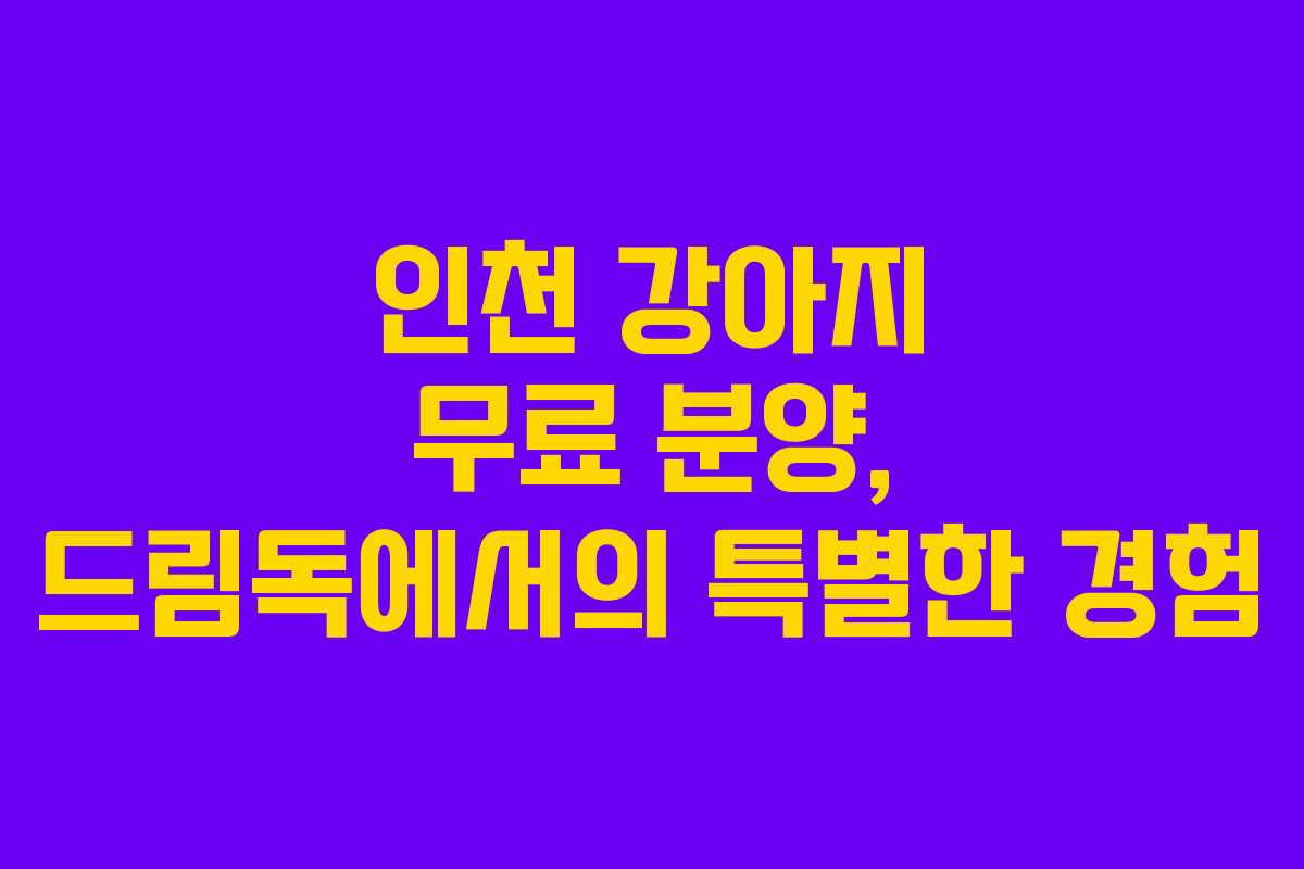 인천 강아지 무료 분양, 드림독에서의 특별한 경험