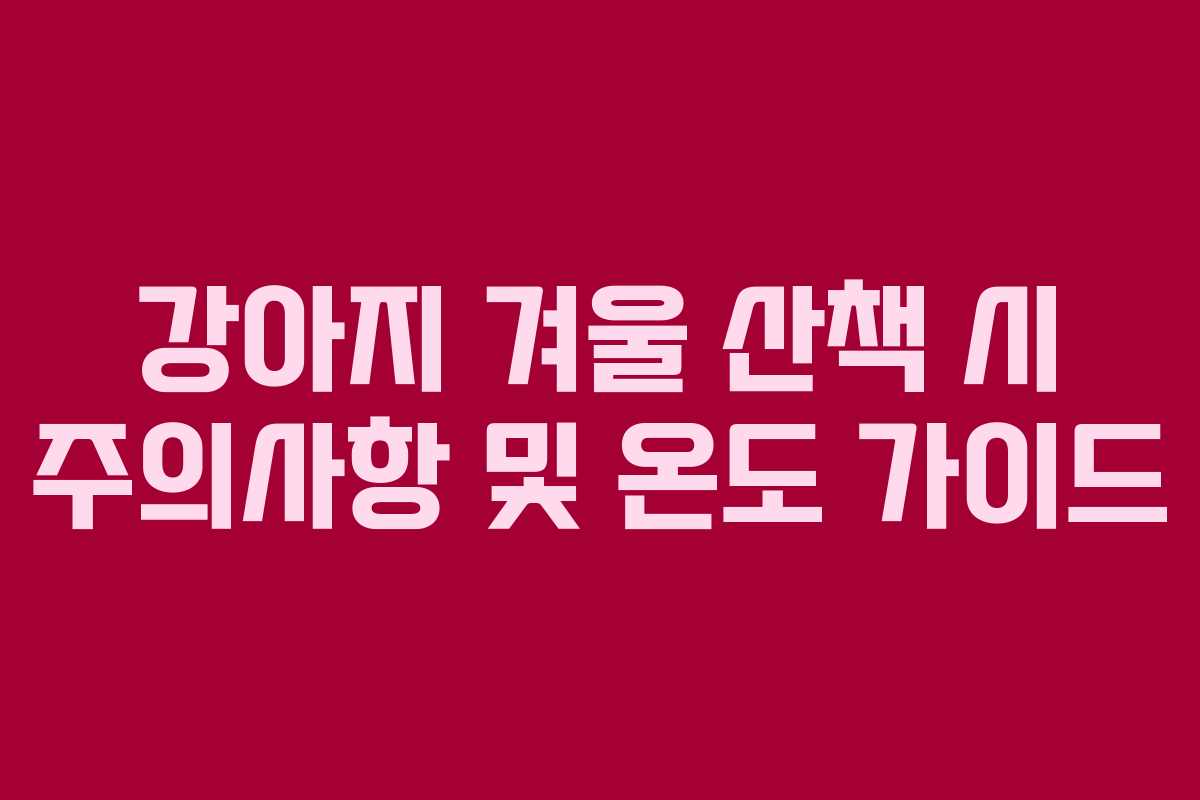 강아지 겨울 산책 시 주의사항 및 온도 가이드