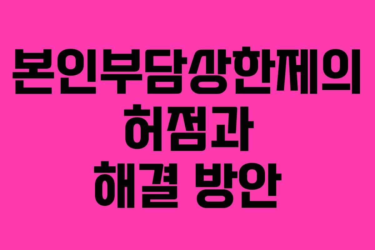 본인부담상한제의 허점과 해결 방안