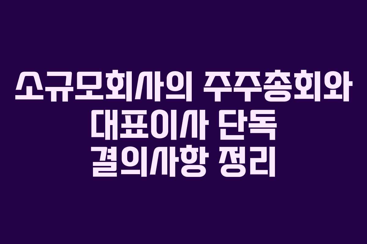 소규모회사의 주주총회와 대표이사 단독 결의사항 정리