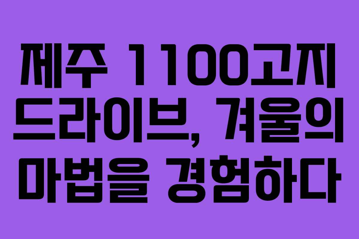 제주 1100고지 드라이브, 겨울의 마법을 경험하다
