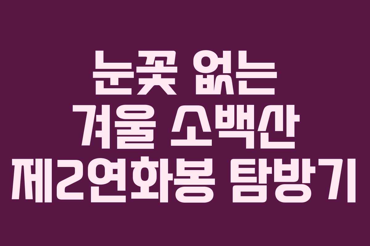 눈꽃 없는 겨울 소백산 제2연화봉 탐방기