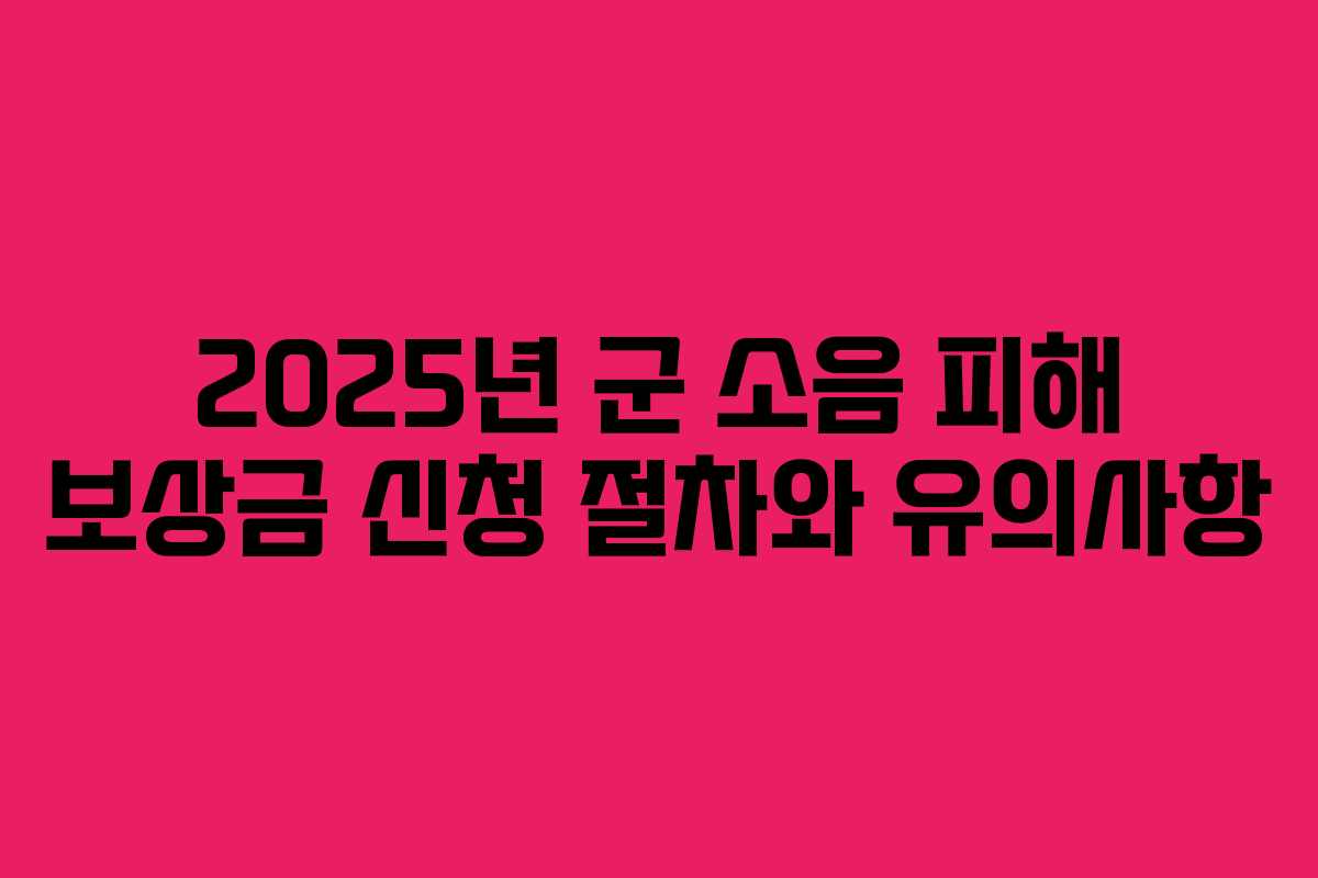 2025년 군 소음 피해 보상금 신청 절차와 유의사항