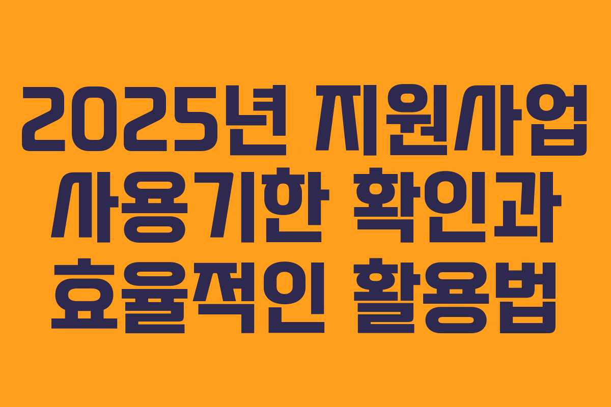2025년 지원사업 사용기한 확인과 효율적인 활용법