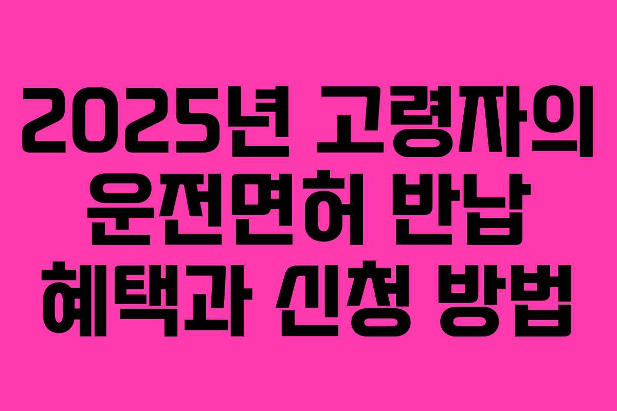 2025년 고령자의 운전면허 반납 혜택과 신청 방법