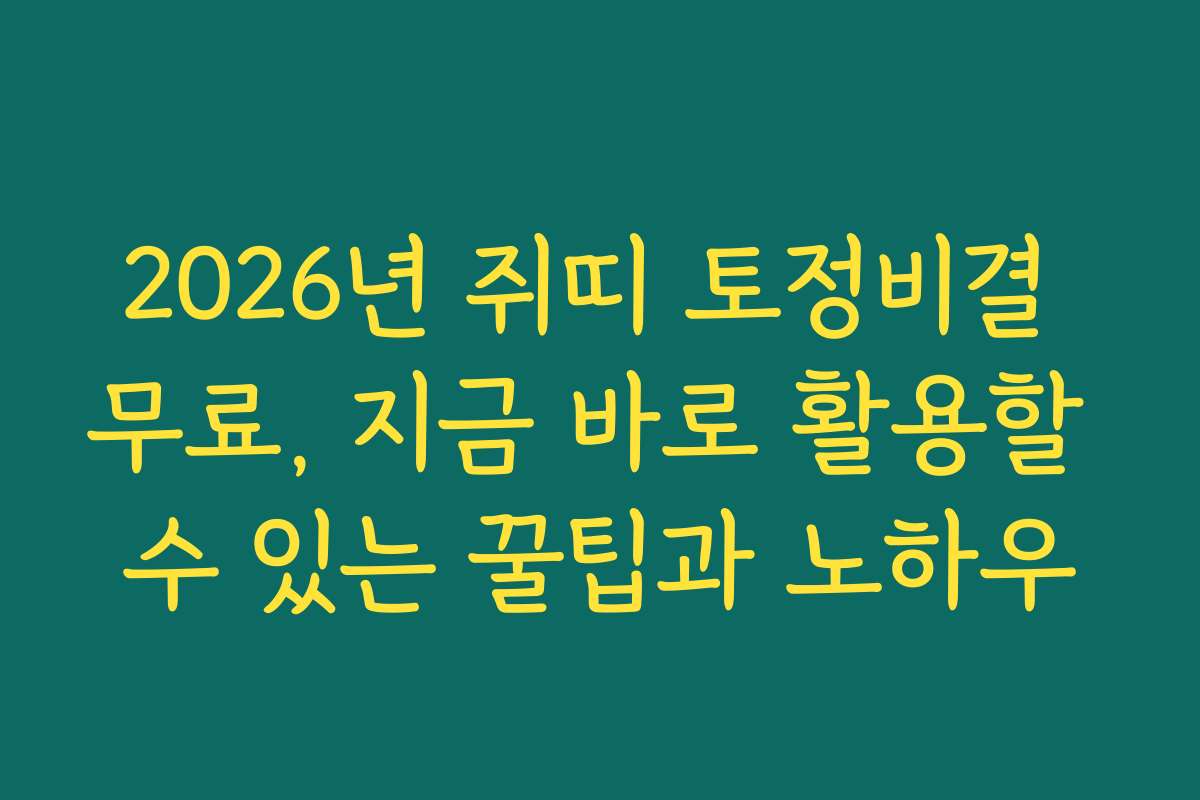 2026년 쥐띠 토정비결 무료, 지금 바로 활용할 수 있는 꿀팁과 노하우