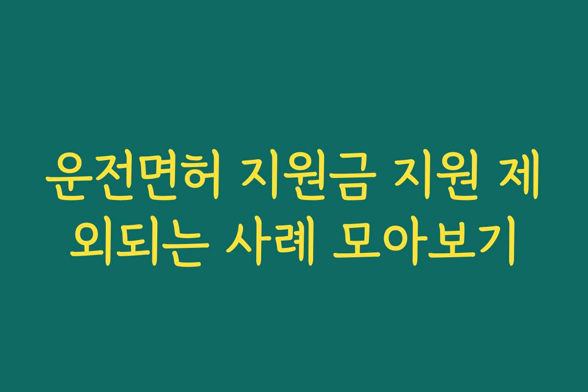 운전면허 지원금 지원 제외되는 사례 모아보기