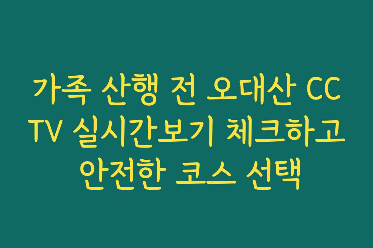 가족 산행 전 오대산 CCTV 실시간보기 체크하고 안전한 코스 선택