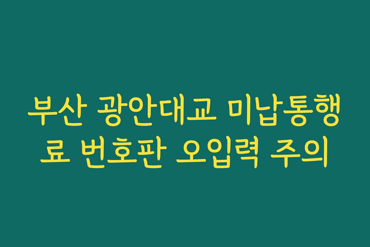 부산 광안대교 미납통행료 번호판 오입력 주의