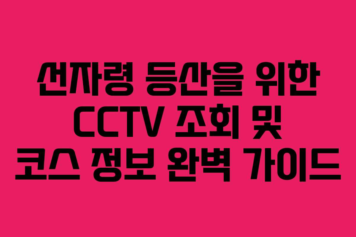 선자령 등산을 위한 CCTV 조회 및 코스 정보 완벽 가이드