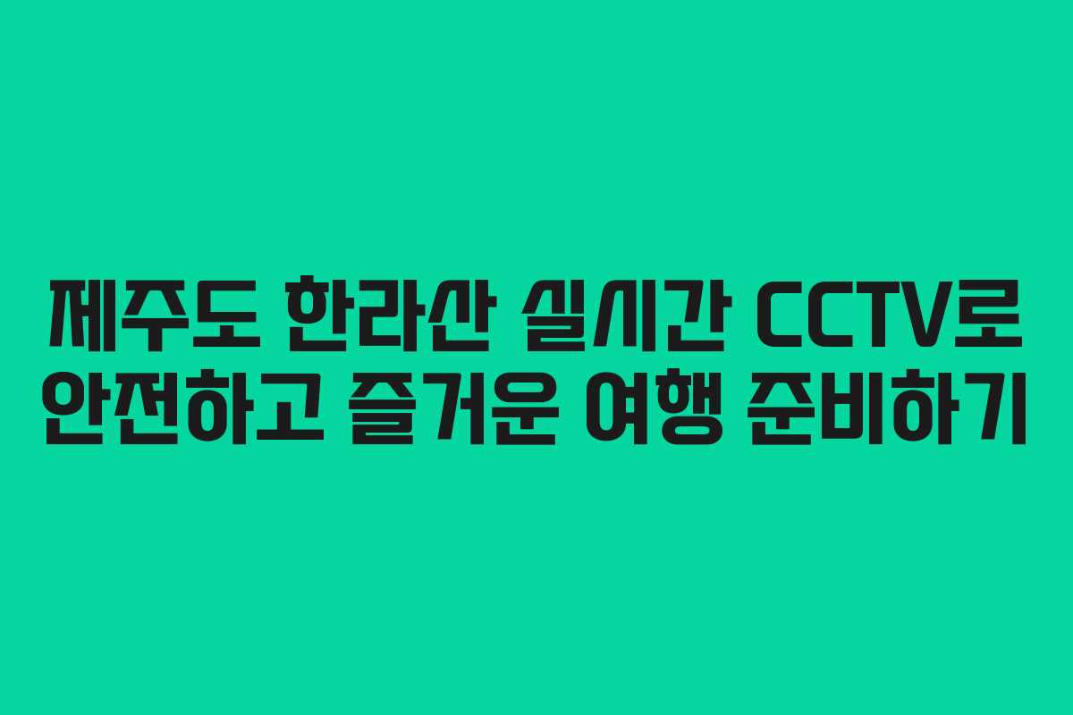 제주도 한라산 실시간 CCTV로 안전하고 즐거운 여행 준비하기