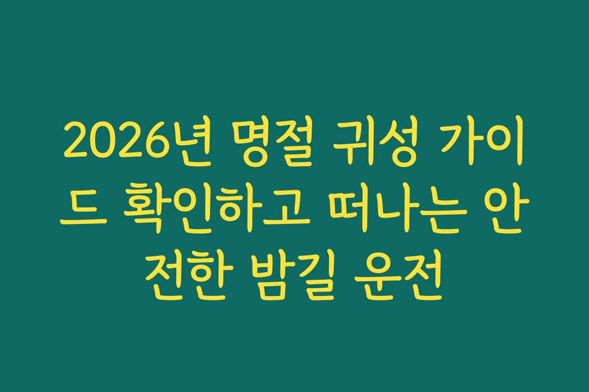 2026년 명절 귀성 가이드 확인하고 떠나는 안전한 밤길 운전