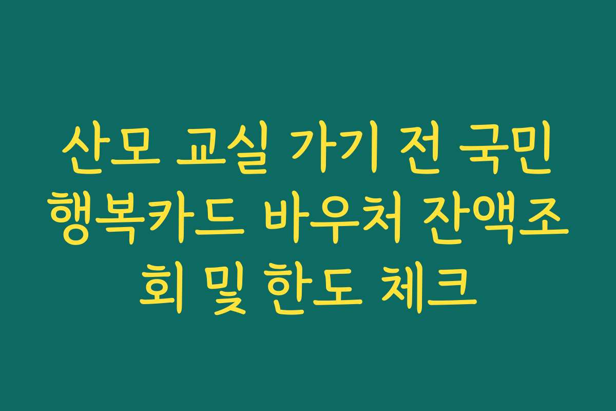 산모 교실 가기 전 국민행복카드 바우처 잔액조회 및 한도 체크