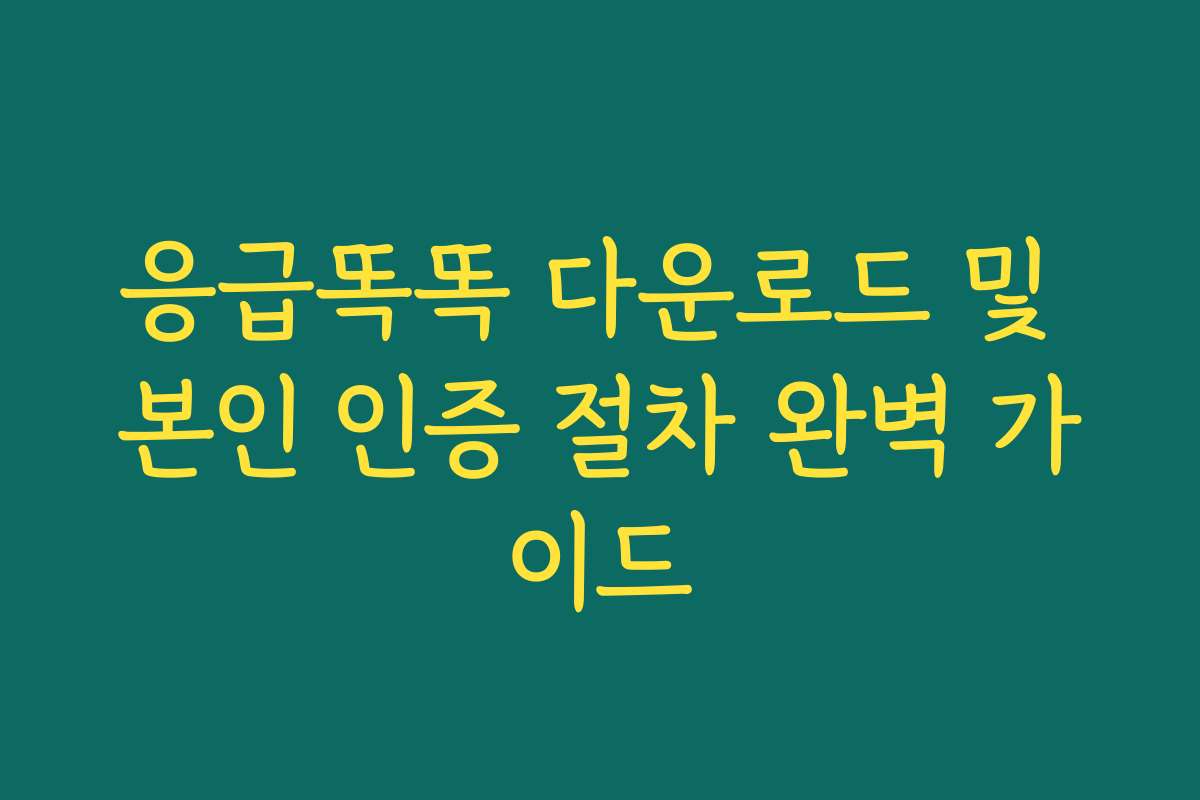 응급똑똑 다운로드 및 본인 인증 절차 완벽 가이드