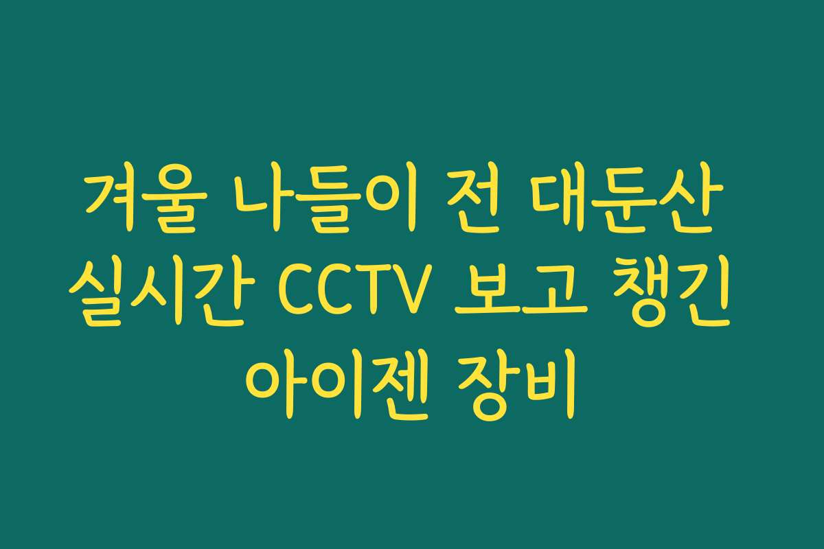겨울 나들이 전 대둔산 실시간 CCTV 보고 챙긴 아이젠 장비