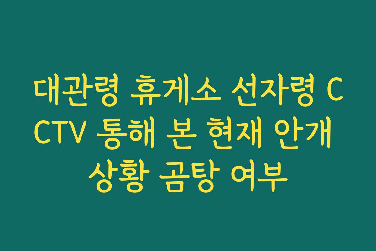 대관령 휴게소 선자령 CCTV 통해 본 현재 안개 상황 곰탕 여부