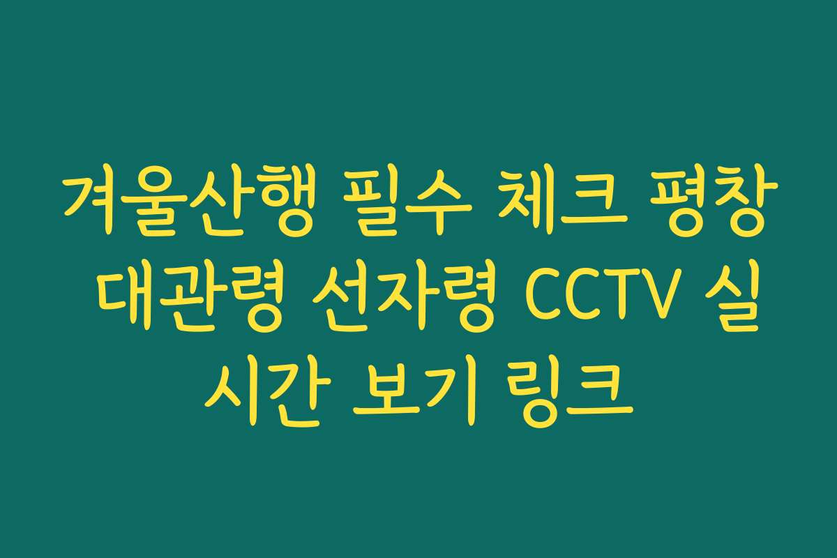 겨울산행 필수 체크 평창 대관령 선자령 CCTV 실시간 보기 링크
