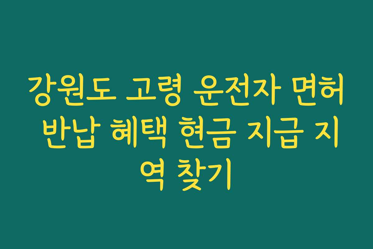 강원도 고령 운전자 면허 반납 혜택 현금 지급 지역 찾기