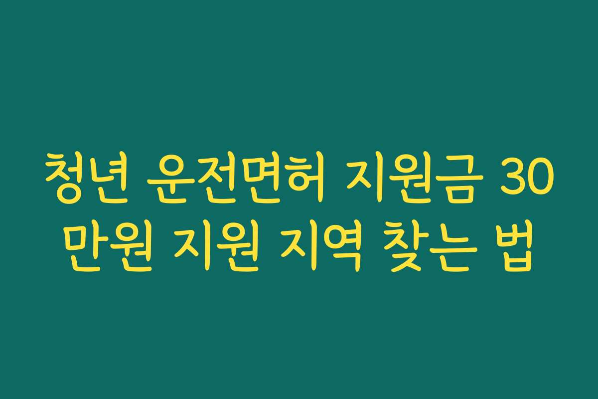청년 운전면허 지원금 30만원 지원 지역 찾는 법 청년 운전면허 지원금 30만원 지원 지역 찾는 법
