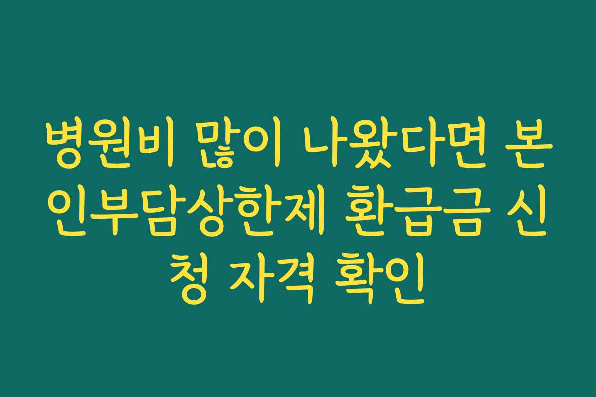 병원비 많이 나왔다면 본인부담상한제 환급금 신청 자격 확인