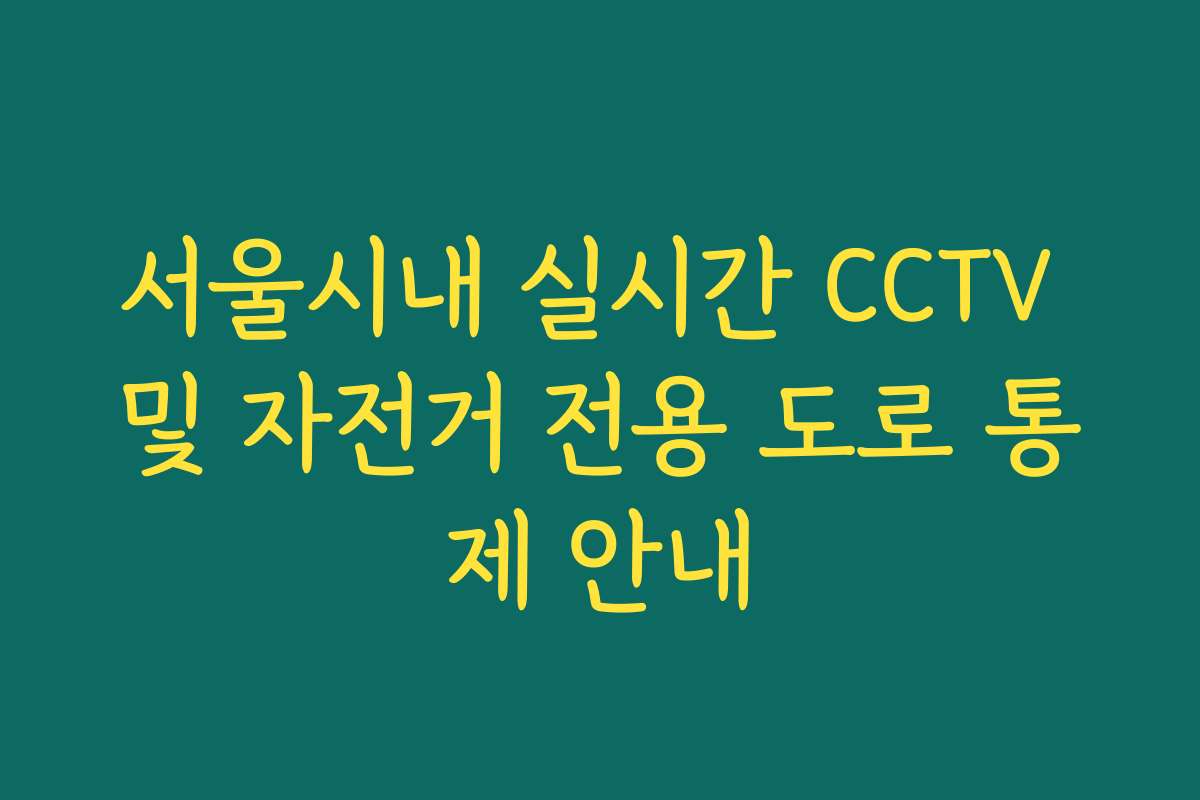 서울시내 실시간 CCTV 및 자전거 전용 도로 통제 안내
