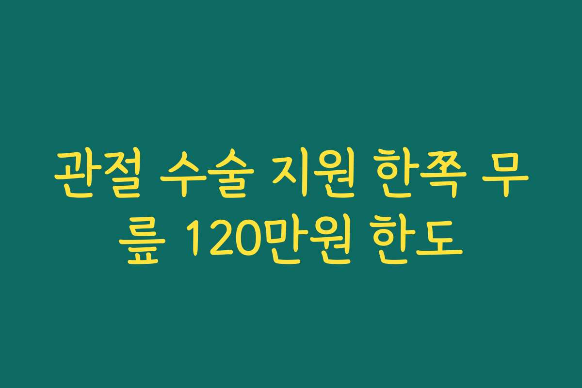 관절 수술 지원 한쪽 무릎 120만원 한도 관절 수술 지원 한쪽 무릎 120만원 한도