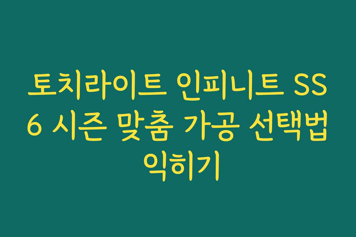 토치라이트 인피니트 SS6 시즌 맞춤 가공 선택법 익히기