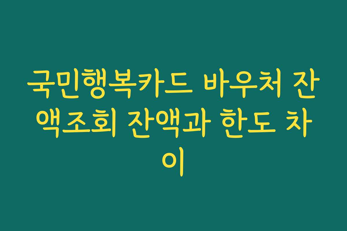 국민행복카드 바우처 잔액조회 잔액과 한도 차이