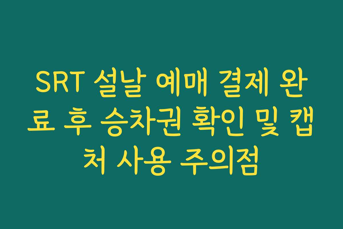 SRT 설날 예매 결제 완료 후 승차권 확인 및 캡처 사용 주의점 SRT 설날 예매 결제 완료 후 승차권 확인 및 캡처 사용 주의점