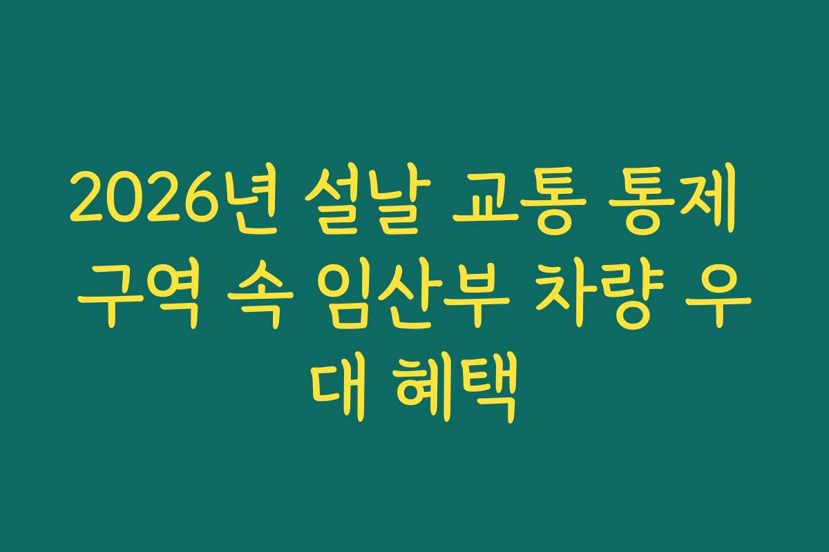 2026년 설날 교통 통제 구역 속 임산부 차량 우대 혜택