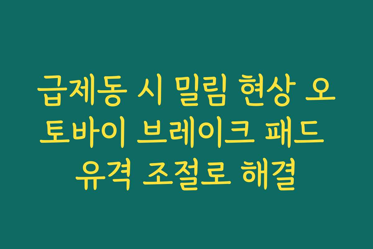 급제동 시 밀림 현상 오토바이 브레이크 패드 유격 조절로 해결