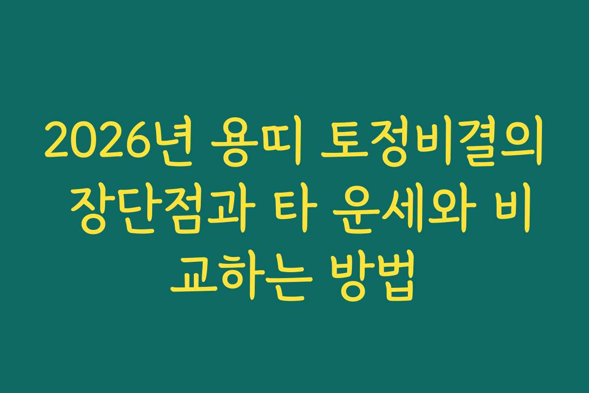 2026년 용띠 토정비결의 장단점과 타 운세와 비교하는 방법 2026년 용띠 토정비결의 장단점과 타 운세와 비교하는 방법