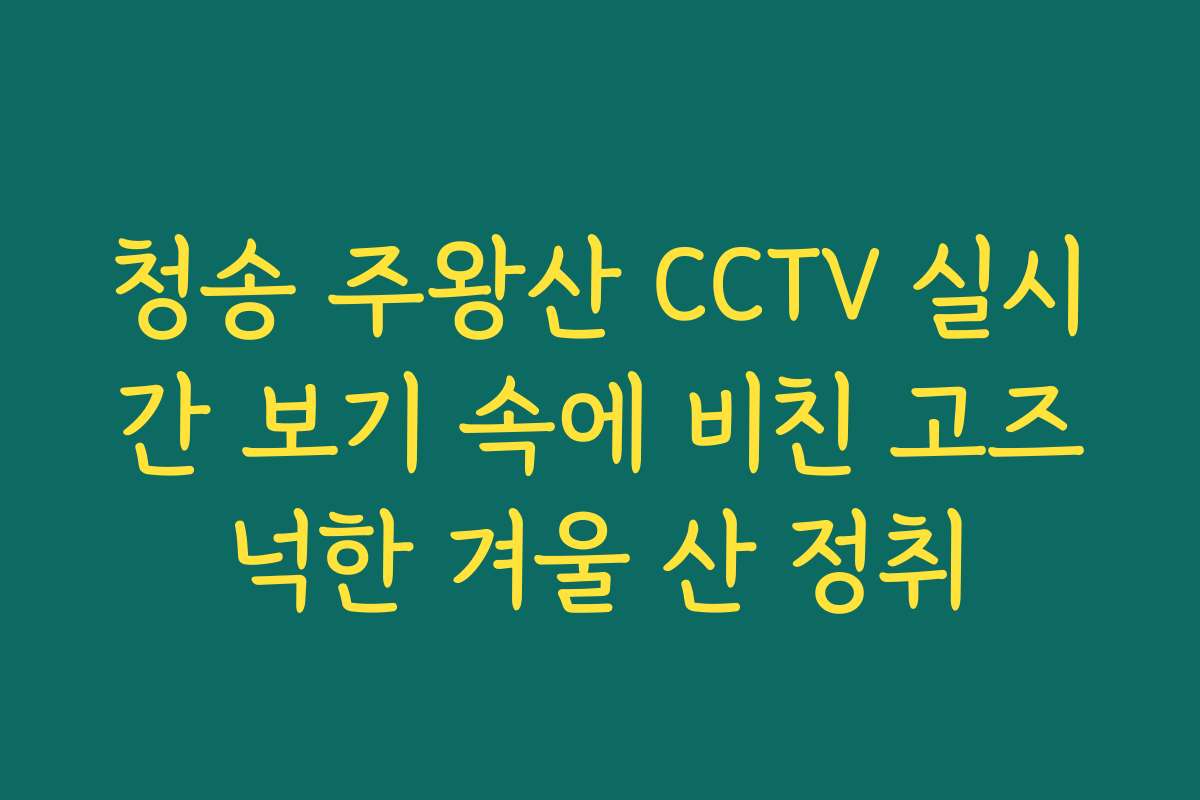 청송 주왕산 CCTV 실시간 보기 속에 비친 고즈넉한 겨울 산 정취