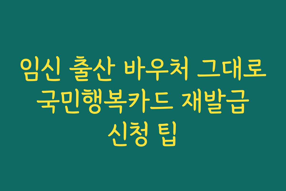 임신 출산 바우처 그대로 국민행복카드 재발급 신청 팁 임신 출산 바우처 그대로 국민행복카드 재발급 신청 팁