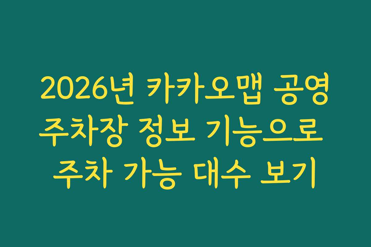 2026년 카카오맵 공영주차장 정보 기능으로 주차 가능 대수 보기