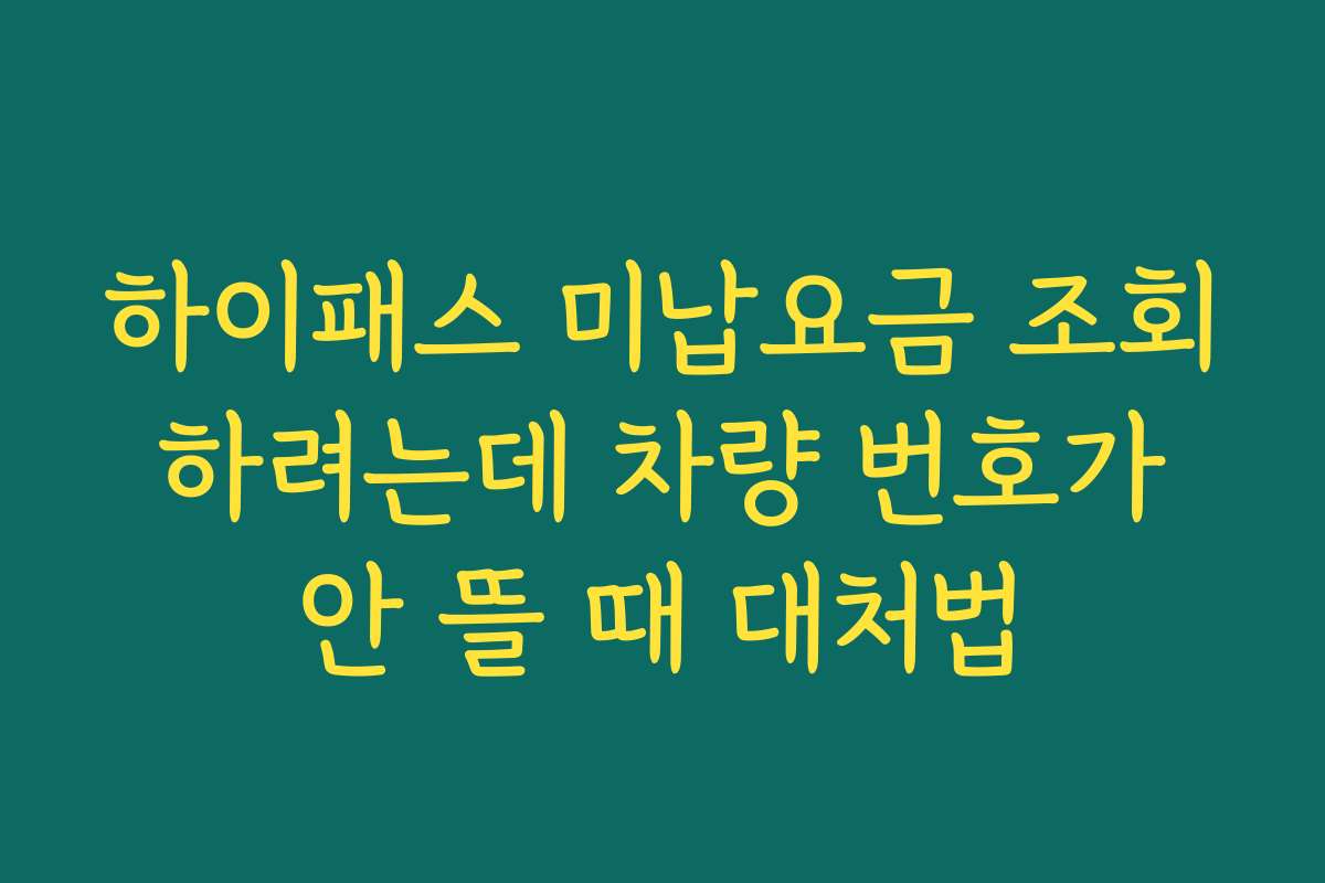 하이패스 미납요금 조회 하려는데 차량 번호가 안 뜰 때 대처법