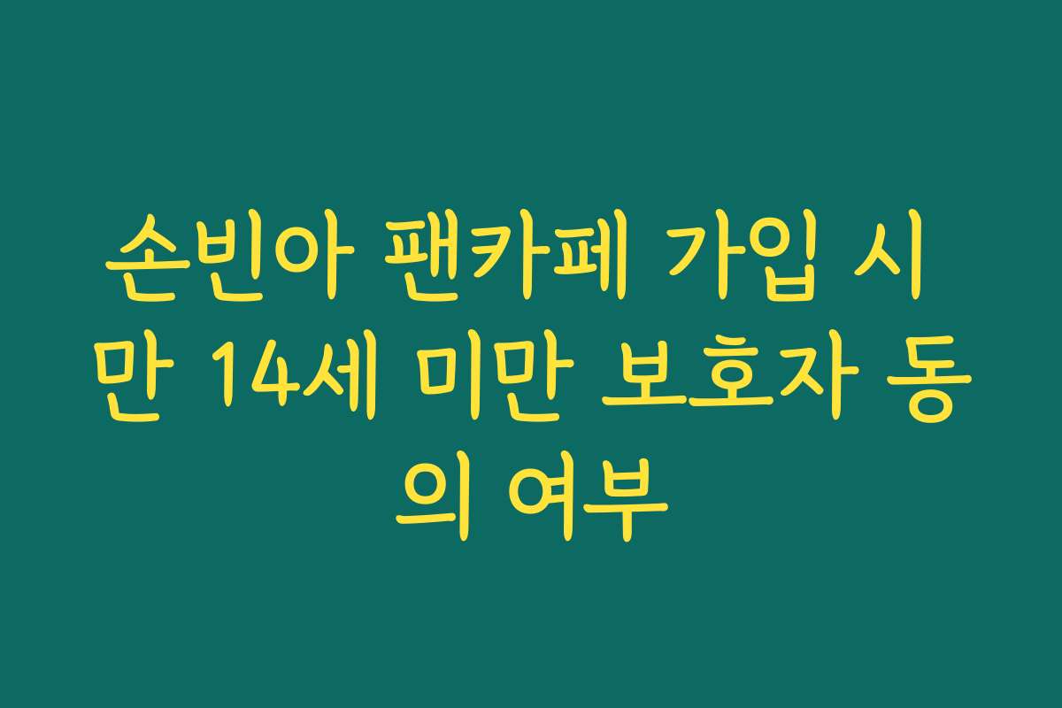 손빈아 팬카페 가입 시 만 14세 미만 보호자 동의 여부