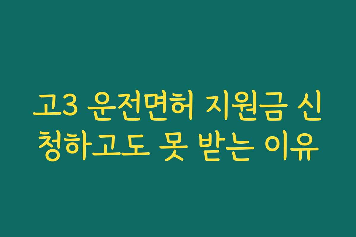 고3 운전면허 지원금 신청하고도 못 받는 이유