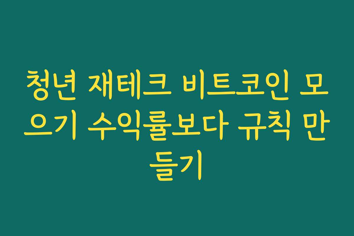 청년 재테크 비트코인 모으기 수익률보다 규칙 만들기