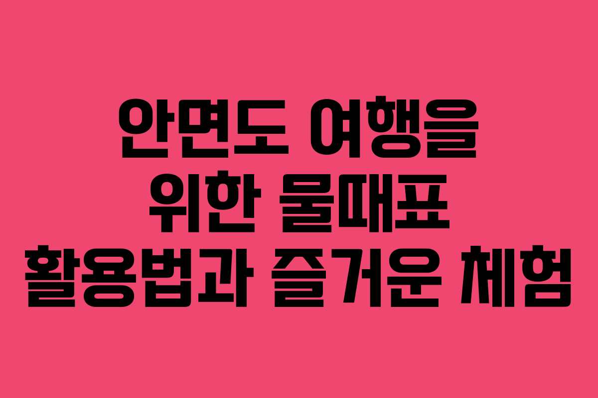 안면도 여행을 위한 물때표 활용법과 즐거운 체험
