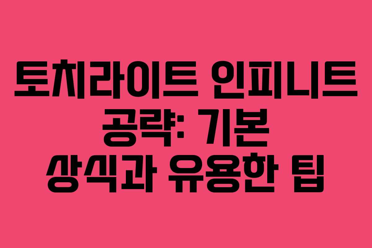 토치라이트 인피니트 공략: 기본 상식과 유용한 팁