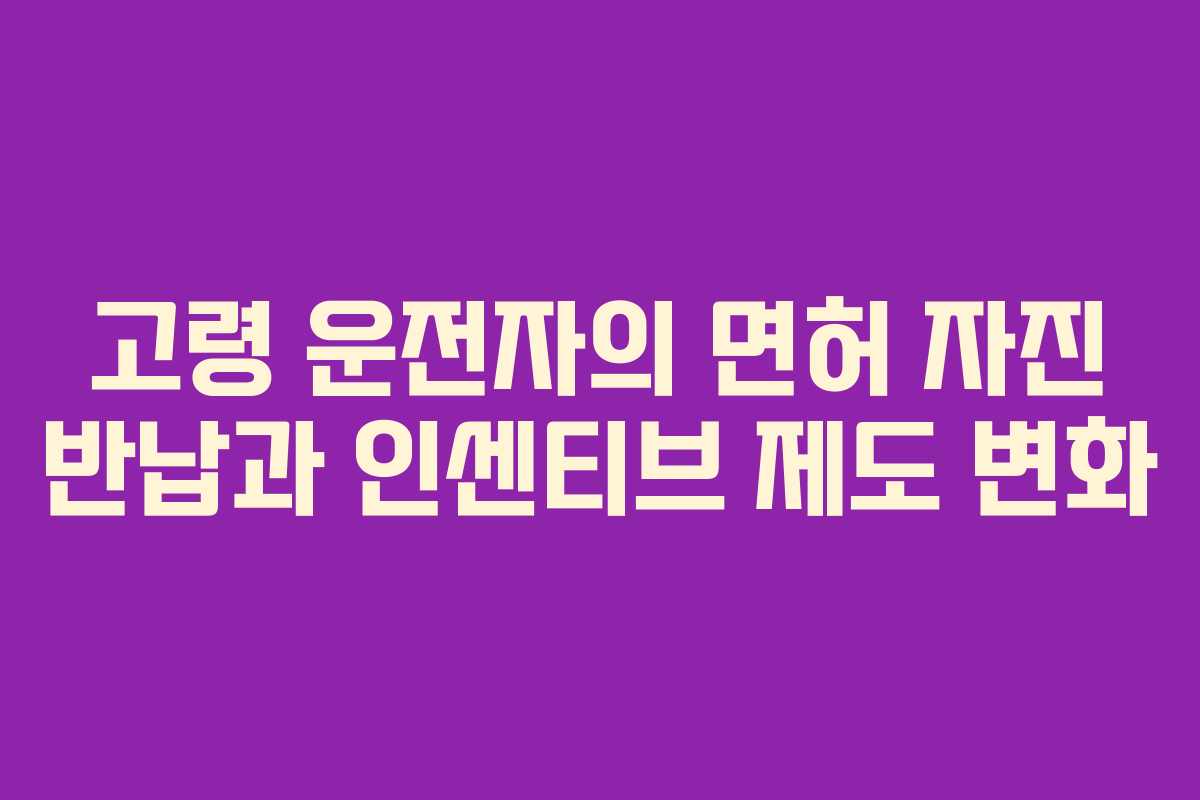 고령 운전자의 면허 자진 반납과 인센티브 제도 변화