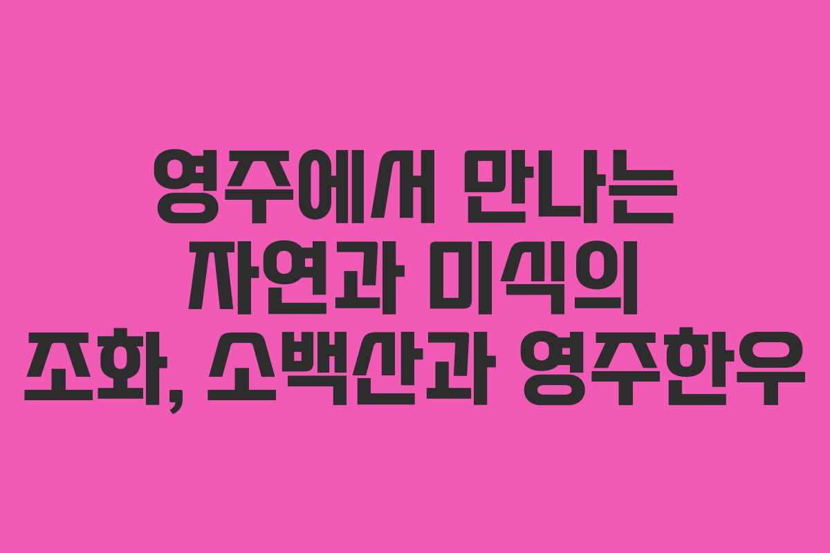 영주에서 만나는 자연과 미식의 조화, 소백산과 영주한우