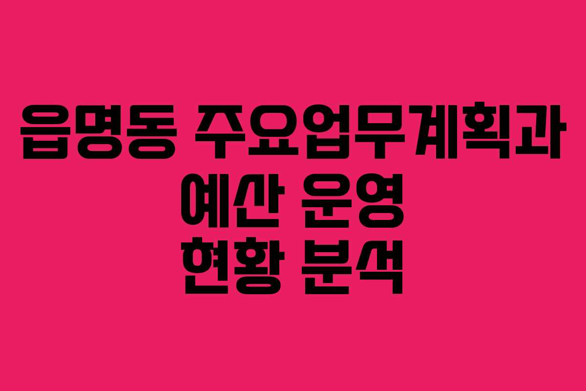 읍명동 주요업무계획과 예산 운영 현황 분석