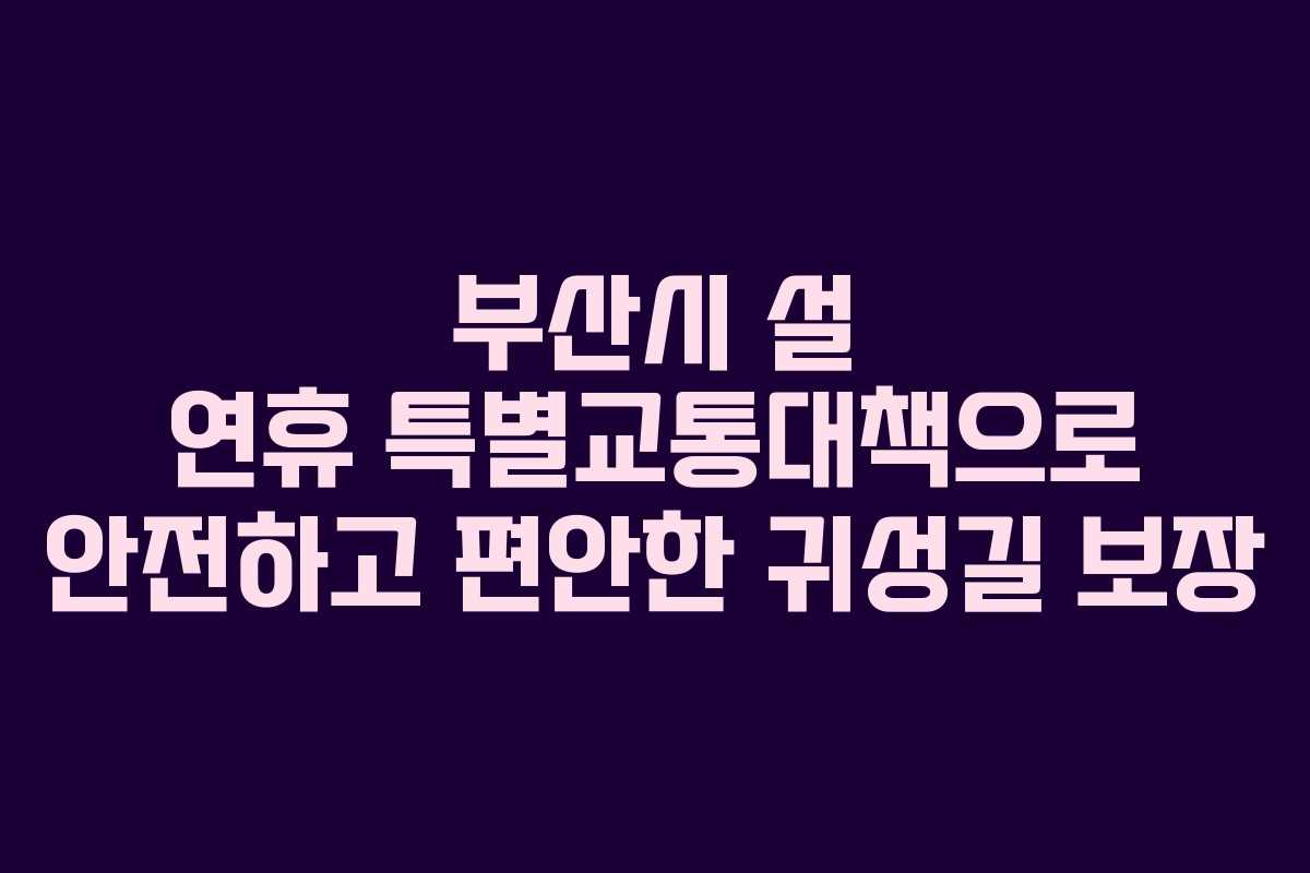 부산시 설 연휴 특별교통대책으로 안전하고 편안한 귀성길 보장
