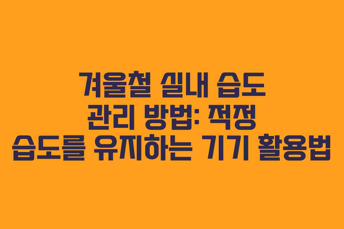 겨울철 실내 습도 관리 방법: 적정 습도를 유지하는 기기 활용법