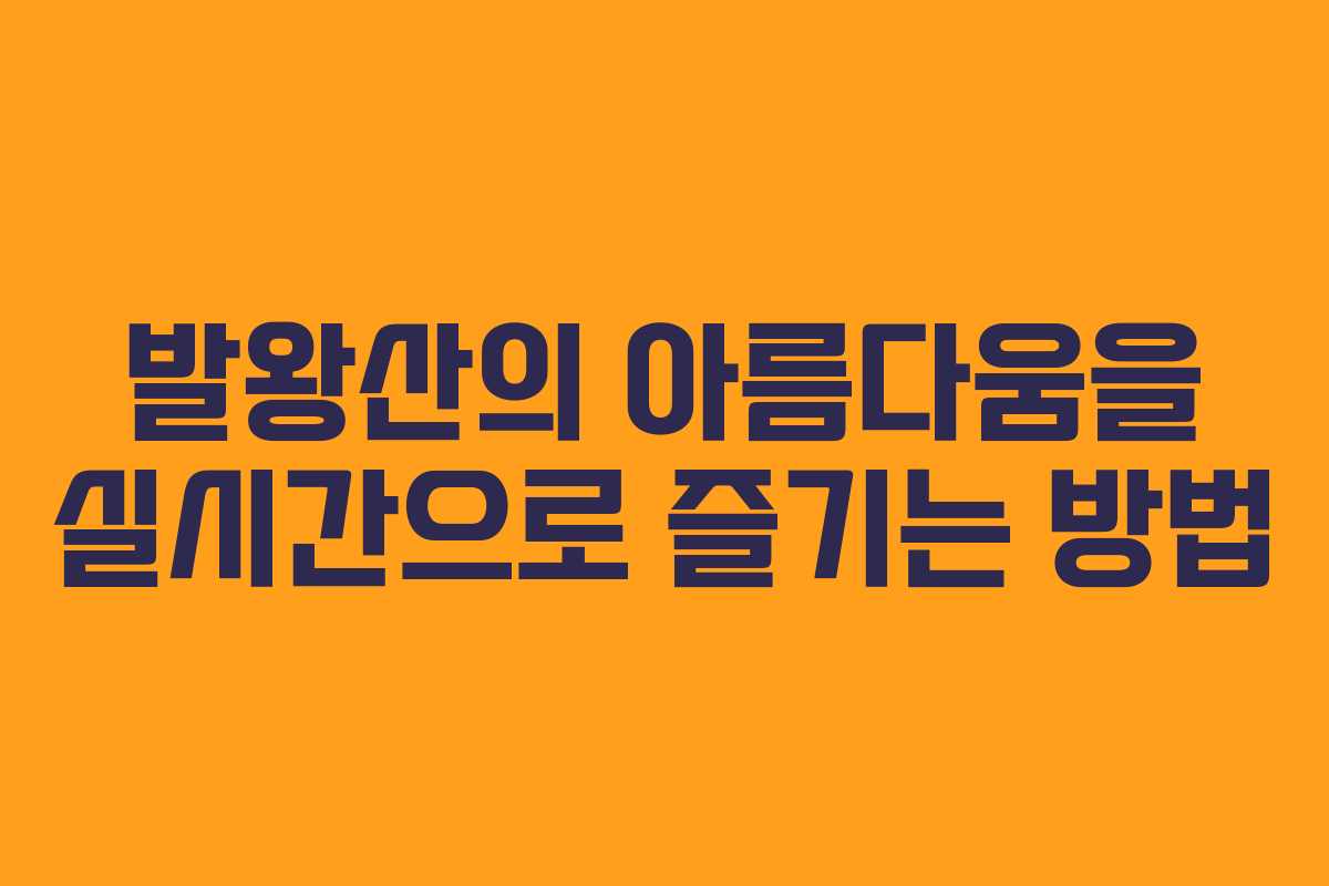 발왕산의 아름다움을 실시간으로 즐기는 방법
