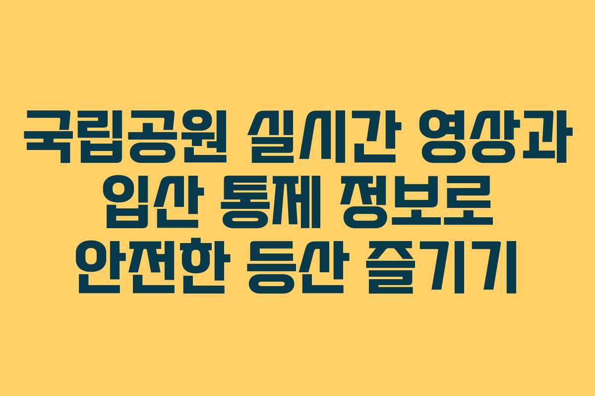 국립공원 실시간 영상과 입산 통제 정보로 안전한 등산 즐기기