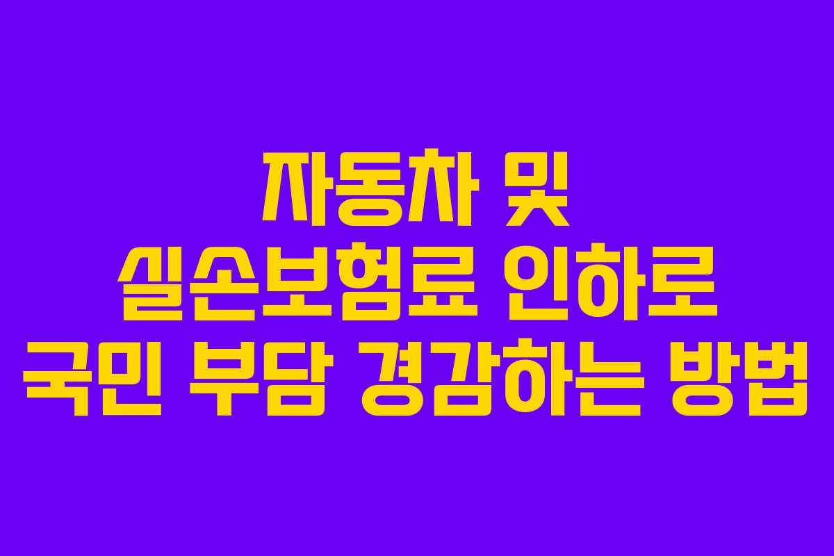 자동차 및 실손보험료 인하로 국민 부담 경감하는 방법